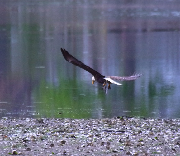 2019 05 08 HTP 90155e